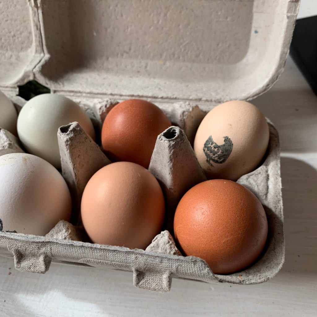 FARM FRESH EGGS HOW TO SELL