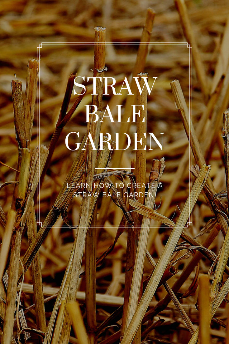 How To Create A Straw Bale Garden