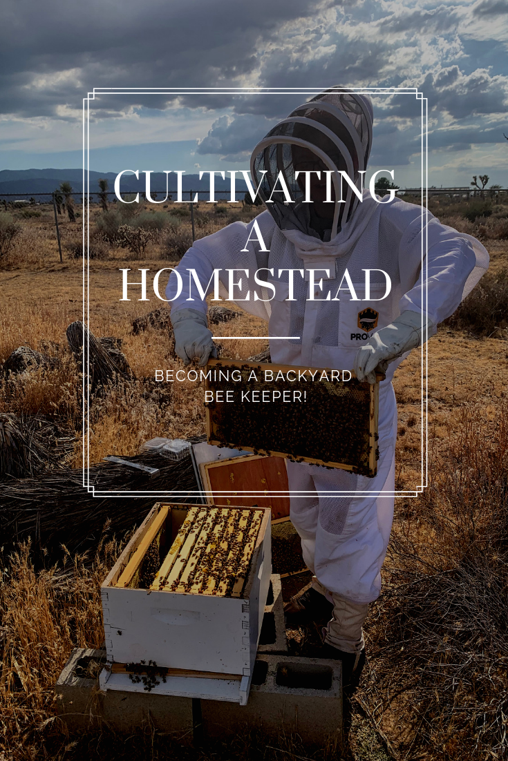Becoming A Backyard Bee Keeper