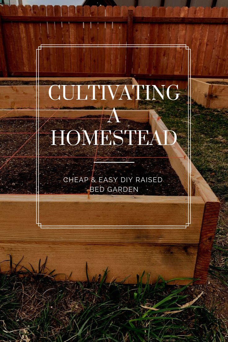 Cheap & Easy DIY Raised Bed Garden