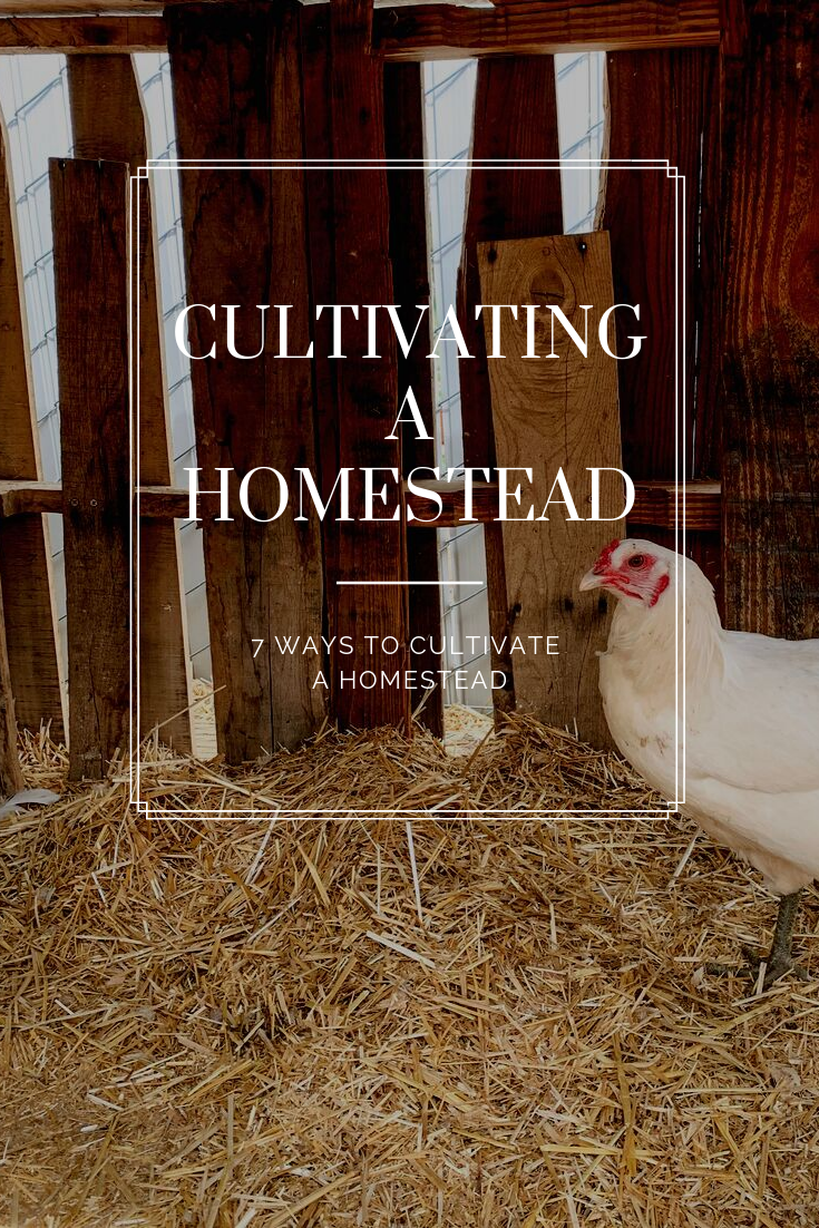 7 Ways To Cultivate A Homestead