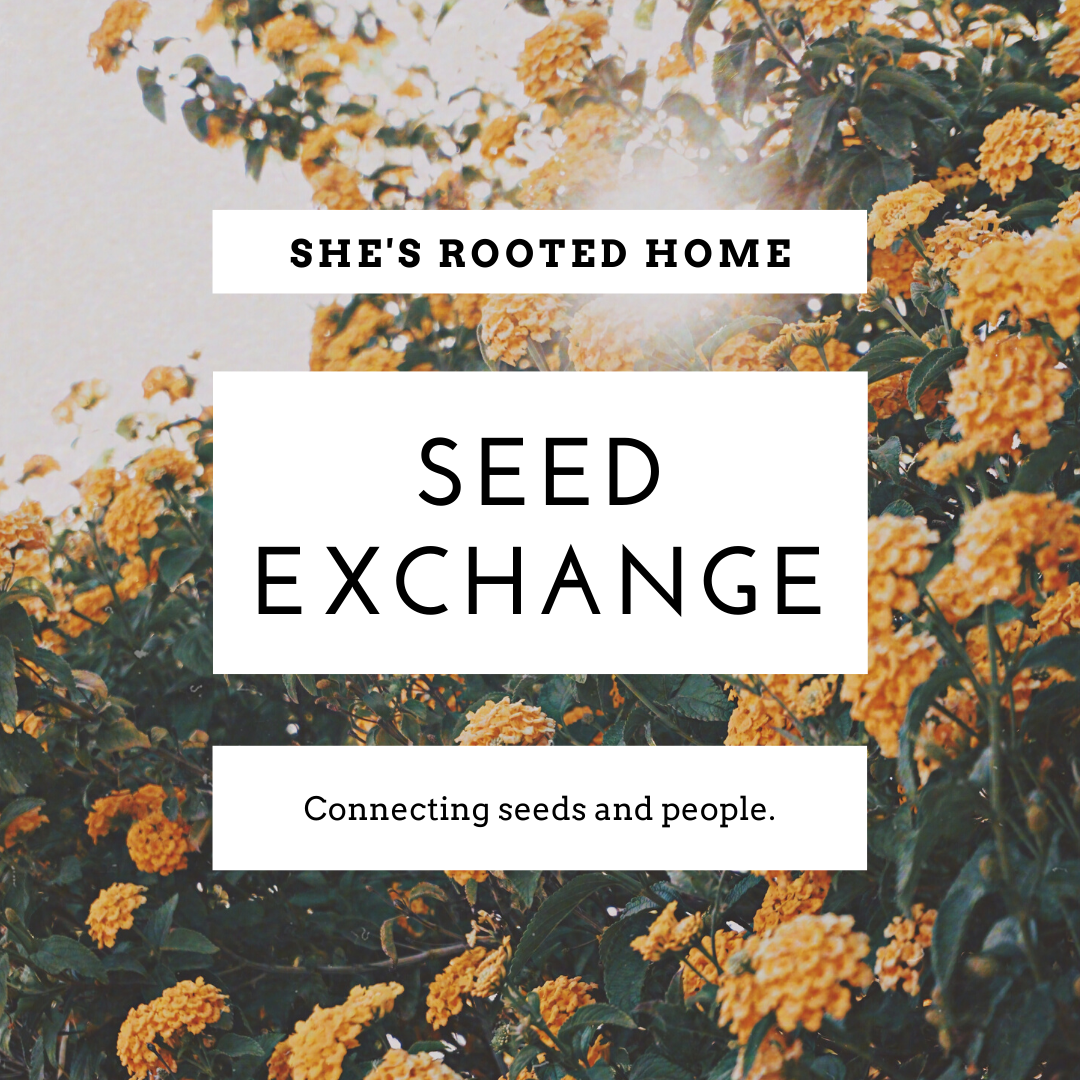 Seed Exchange Package Guide for the Homesteader