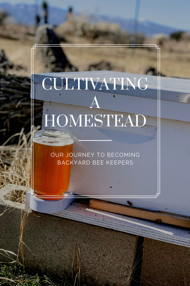 Our Journey To Becoming Backyard Bee Keepers
