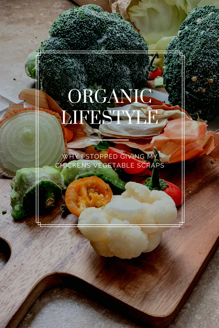 Why I Stopped Giving My Chickens Vegetable Scraps