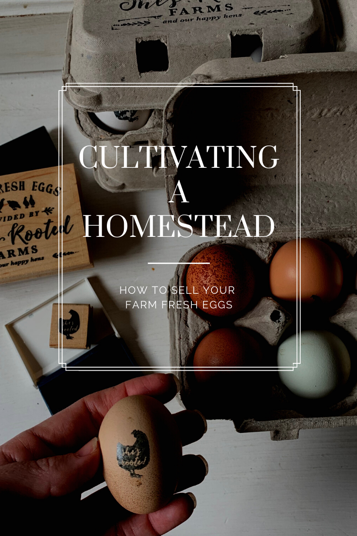 How to sell your farm fresh eggs