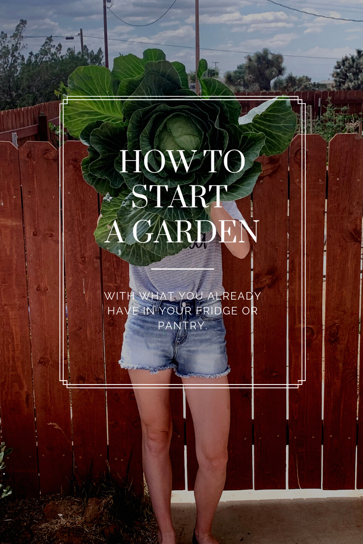 How To Start A Garden With What You Already Have