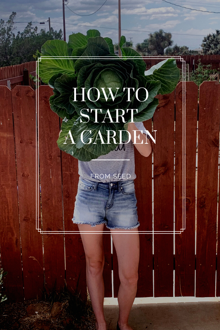How To Start A Garden From Seed