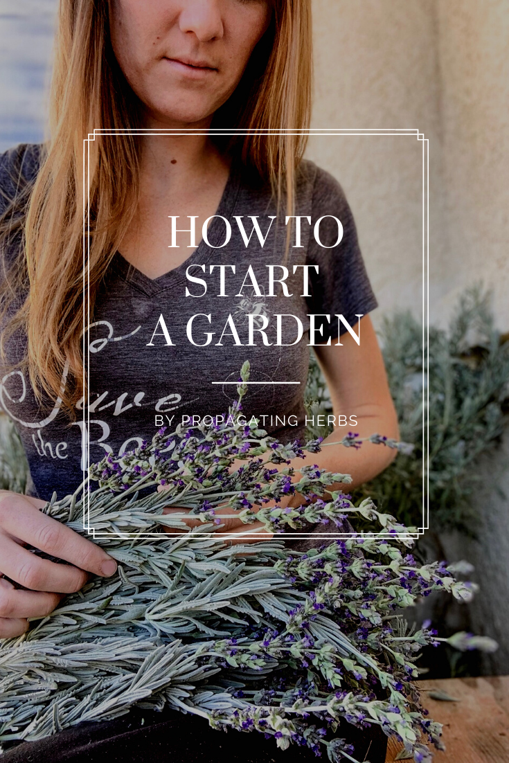How To Start A Garden By Propagating Herbs