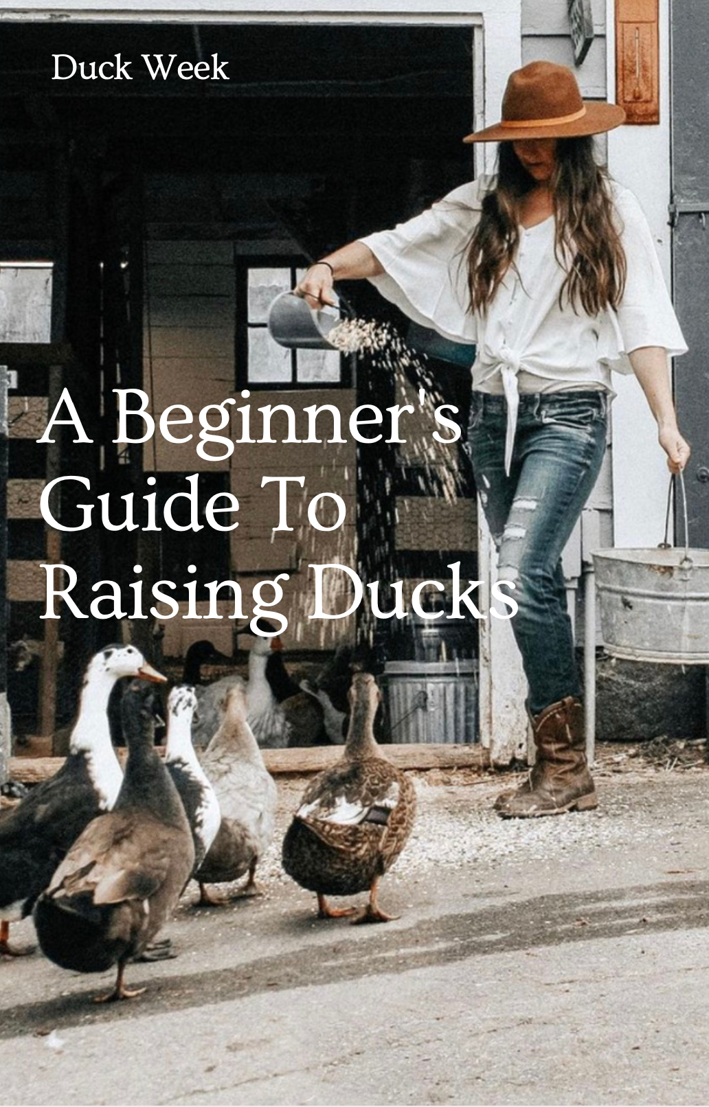 A Beginners Guide To Raising Ducks