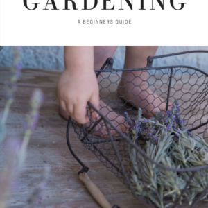 How To Get Started GARDENING, A Beginners Guide