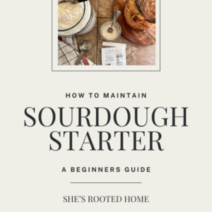 How to Maintain SOURDOUGH STARTER- A Beginners Guide