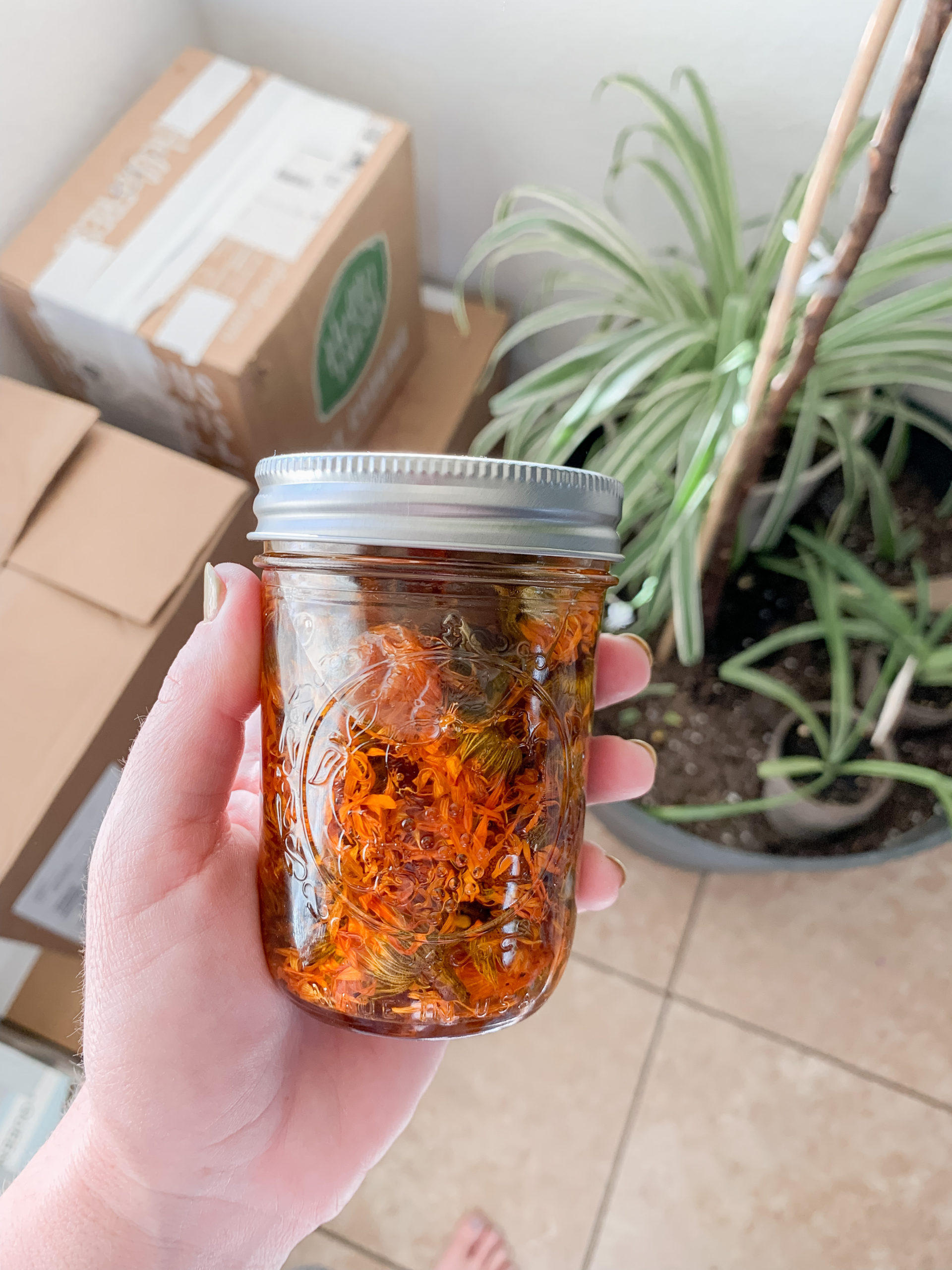How To Make Calendula Salve