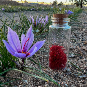 USA Grown Saffron 0.5 Gram