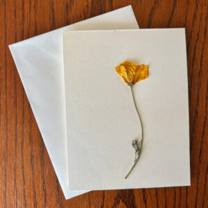 Pressed Flower Cards
