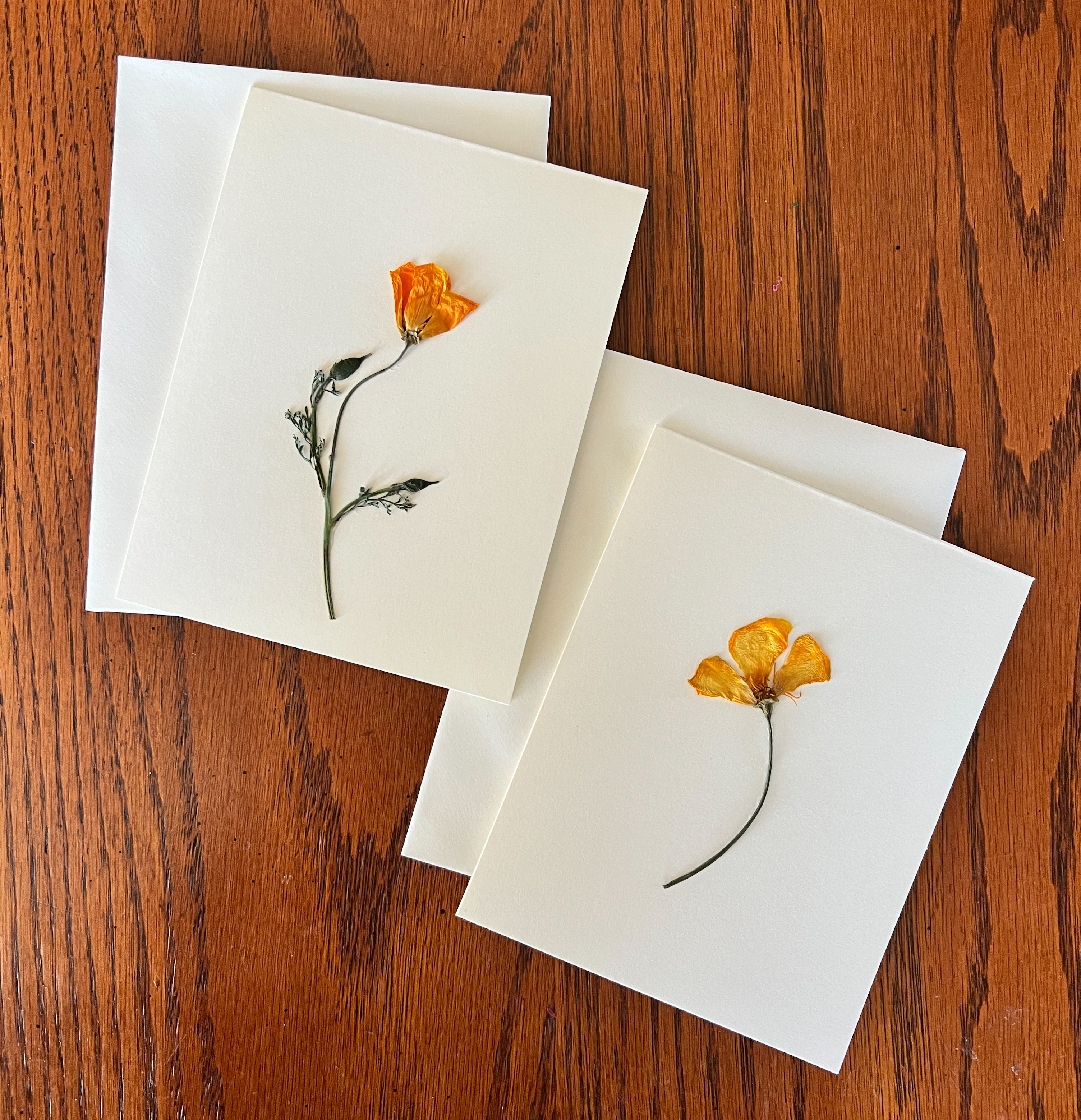 Homegrown & pressed California flower cards 2 pack