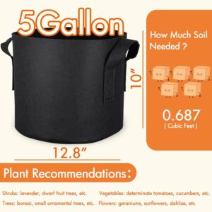 Saffron Grow Bag