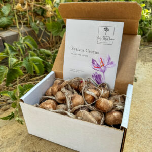 Shipping Label Fee for Reships